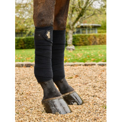 Bandes de polo LeMieux Elevate Noir Bandes de polo LeMieux Elevate Noir