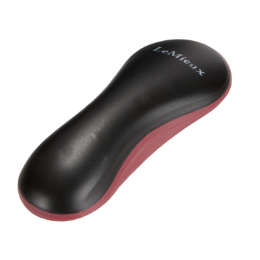 Harde borstel LeMieux Zwart