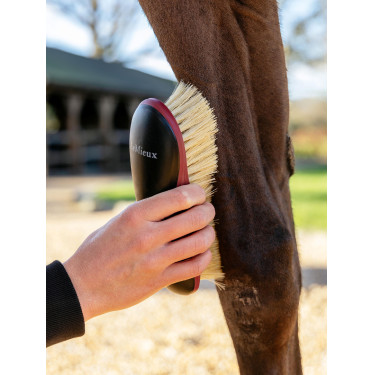 Harde borstel LeMieux Zwart