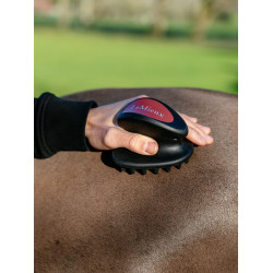 Brosse massage LeMieux Noir