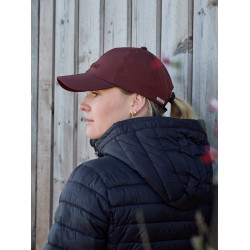 Waterdichte LeMieux x Sealskinz pet met opvouwbare klep Bordeaux