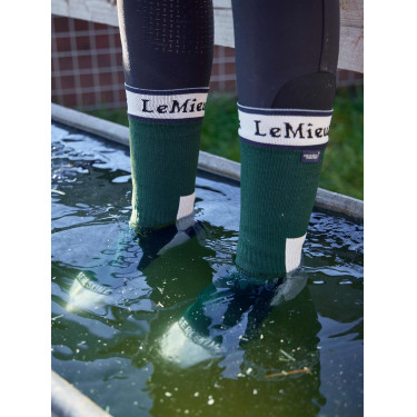 Chaussettes imperméables LeMieux x Sealskinz Vert
