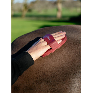 Rubber rosborstel LeMieux Rood