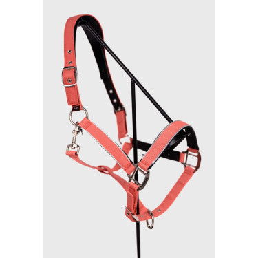 Licol Harcour Bamara Pamplemousse Rose Licol Harcour Bamara Pamplemousse Rose