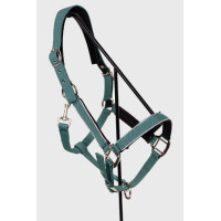 Licol Harcour Bamara Paon Bleu