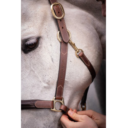 Licol cuir 3 mousquetons Paddock Sports Havane Marron Licol cuir 3 mousquetons Paddock Sports Havane Marron