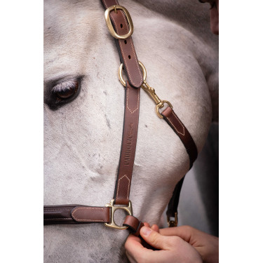 Licol cuir 3 mousquetons Paddock Sports Havane Marron Licol cuir 3 mousquetons Paddock Sports Havane Marron