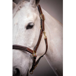 Licol cuir 3 mousquetons Paddock Sports Havane Marron Licol cuir 3 mousquetons Paddock Sports Havane Marron