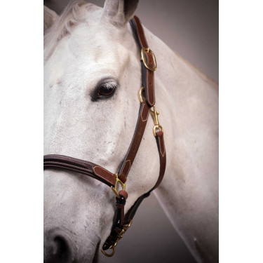 Licol cuir 3 mousquetons Paddock Sports Havane Marron Licol cuir 3 mousquetons Paddock Sports Havane Marron