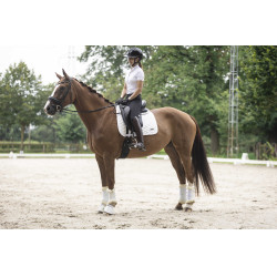 Afneembare bies voor Lami-Cell Glitter helm Zwart