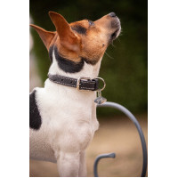 Halsband voor hond Pénélope Olie Zwart