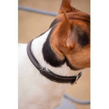 Halsband voor hond Pénélope Olie Havana Bruin