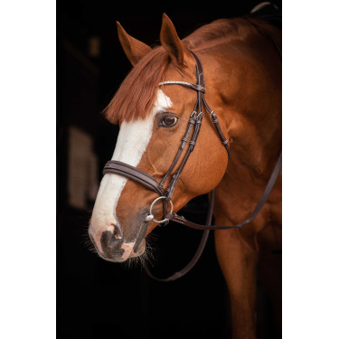 Bridon Pénélope Daily Strass SR Havana Bruin