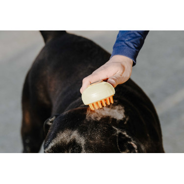 Etrille Hippotonic Vapeur Crème Beige