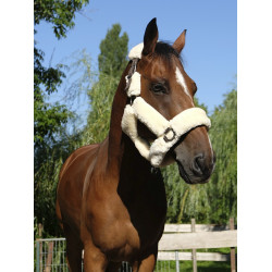 Halster Equithème Teddy Halster Equithème Teddy