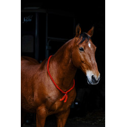 Cordelette Norton Rouge