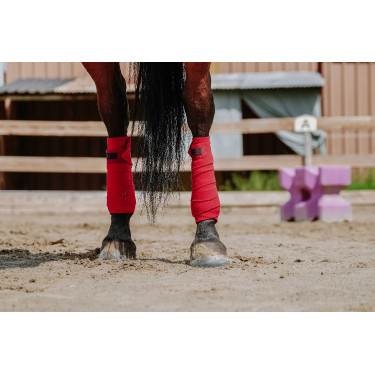 Equithème polobandages set van 4 Rood