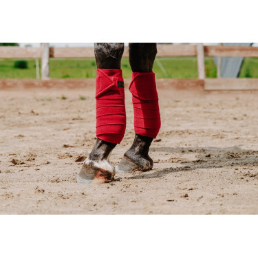 Bandes de polo Equithème par 4 Rouge