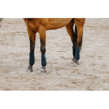 Bandes de polo Equithème par 4 Vert foncé