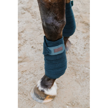 Bandes de polo Equithème par 4 Vert foncé