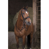 Rênes filet Norton 16 mm Noir Rênes filet Norton 16 mm Noir