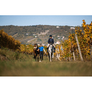 Sweat Equithème Hervé Bleu marine Sweat Equithème Hervé Bleu marine