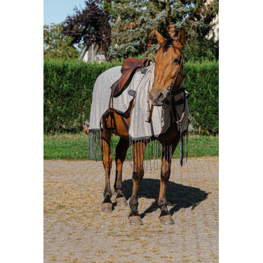 Werkshirt Riding World anti-vliegen Grijs