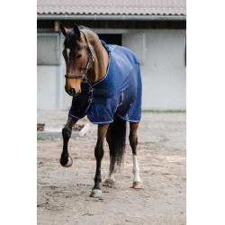 Chemise Equithème Classic 3D mesh Bleu marine