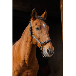 Nylon halster Equithème Domino Koper Bruin Nylon halster Equithème Domino Koper Bruin