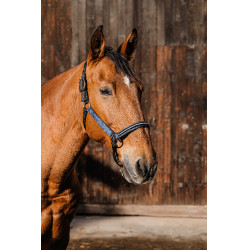 Nylon halster Equithème Domino Koningsblauw