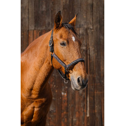 Licol nylon Equithème Domino Violet