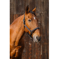 Nylon halster Equithème Domino Violet