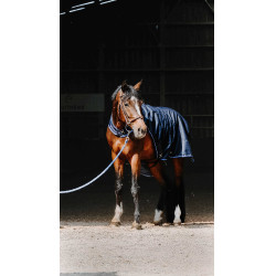 Chemise marcheur Equithème Classic 1200D Bleu marine