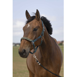 Licol Equithème Nylon Chevron Vert foncé