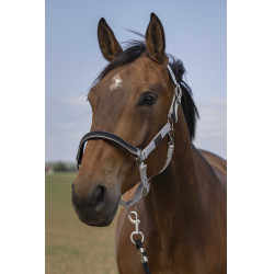 Halster Equithème Nylon Chevron Lichtgrijs