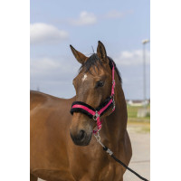 Licol Equithème Nylon Mouton Rose / noir Licol Equithème Nylon Mouton Rose / noir