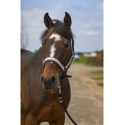 Halster Equithème Nylon Check Marine / bruin Blauw Halster Equithème Nylon Check Marine / bruin Blauw