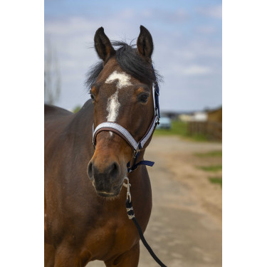 Halster Equithème Nylon Check Marine / bruin Blauw Halster Equithème Nylon Check Marine / bruin Blauw