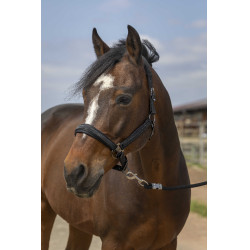 Halster Equithème Nylon Strass Zwart