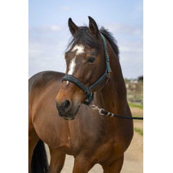 Halster Equithème Nylon Strass Groen Halster Equithème Nylon Strass Groen