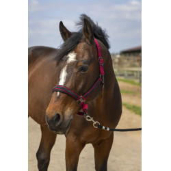 Halster Equithème Nylon Strass Bordeaux