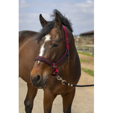 Halster Equithème Nylon Strass Bordeaux