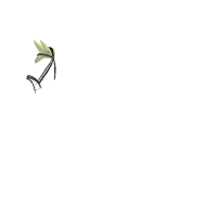 Vliegennetje LeMieux Esme Badge Wit