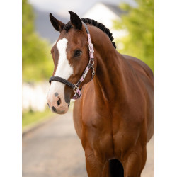 Licol Capella LeMieux Fondant
