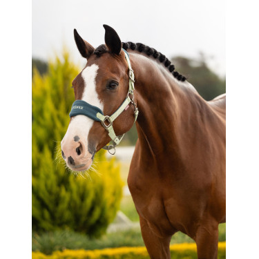 Halster en leadrope LeMieux Vogue Esme Badge Wit Halster en leadrope LeMieux Vogue Esme Badge Wit