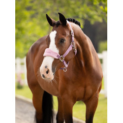 Licol et longe LeMieux Vogue Esme Mallow Violet