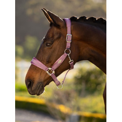 Licol LeMieux Versailles Mallow Violet