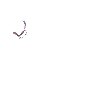Licol LeMieux Versailles Mallow Violet