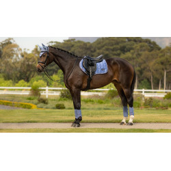 Tapis de selle LeMieux Loire Close Contact Square CSO Powder blue Bleu