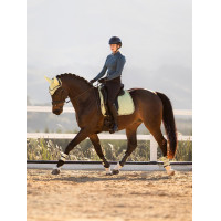 LeMieux Suede Dressage Square Reflective Badge Groen